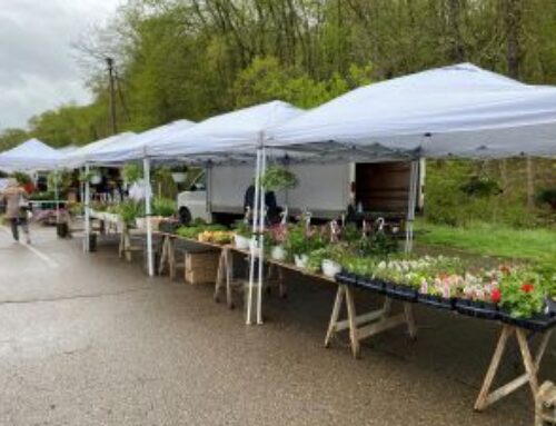 May 16th Market and No Cook Tuesday